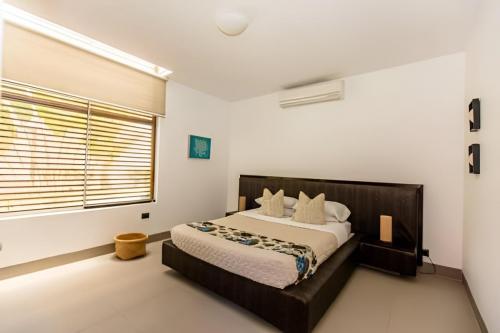 scaled_image_picker1691784294239837138-photo-processed