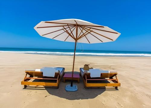 scaled_image_picker1811546149469390826-photo-processed